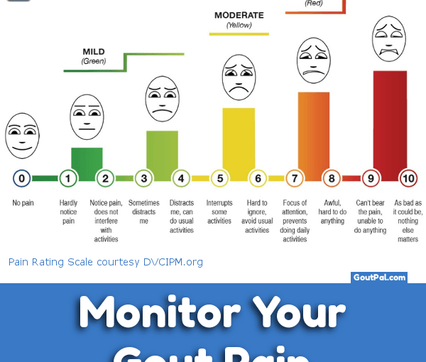 Monitor Your Gout Pain chart