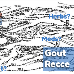 Gout Recce Group image